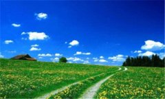 苹果手机以旧换新-在苹果官网买手机是正品吗