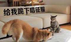 迎新科技-迎新科技有限公司