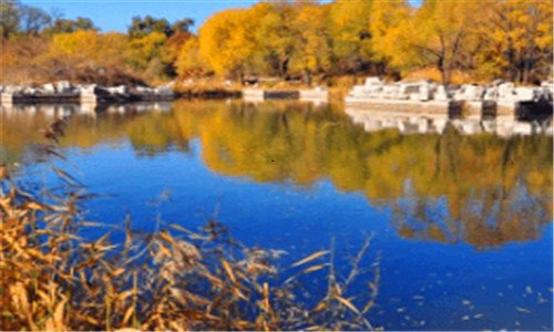 一伏特加什么味道