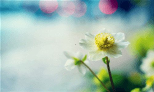 三登陆139手机邮箱