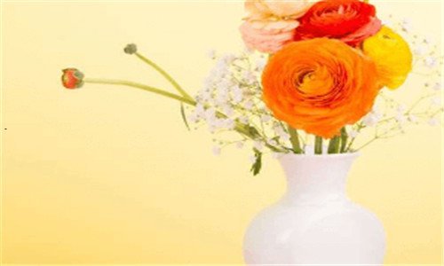 一中国人寿国寿e家