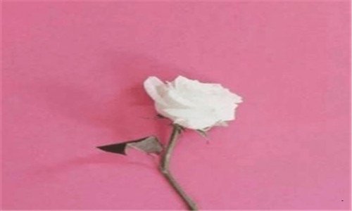 三知己是什么意思
