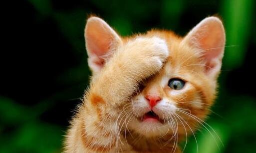 一注册淘宝账号