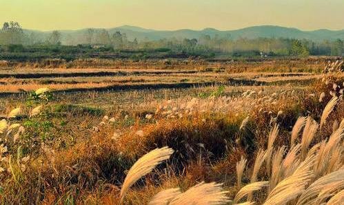 二海南移动网上营业厅登录