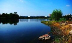 西南科技大学吧-西南科技大学合并九院