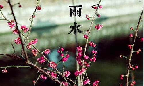 二谷歌邮箱官网