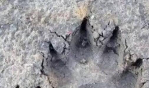 一内敛什么意思