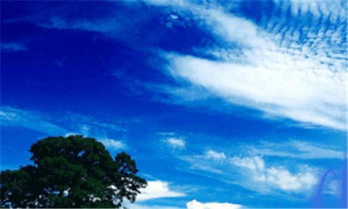 二内地承认石河子大学吗