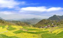 国产液晶电视排行榜-电视机芯片排行榜