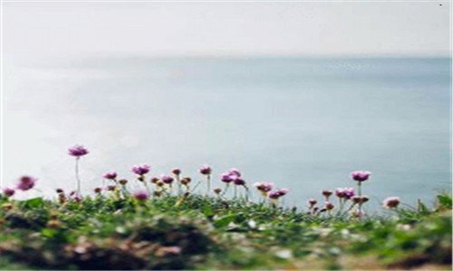 一苹果手机丢失怎么找回