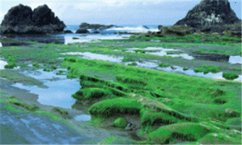 一微信网页版电脑版