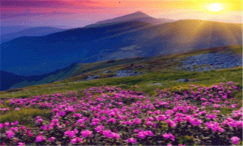 一旅游seo