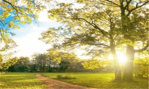 三微信登录上不去怎么办