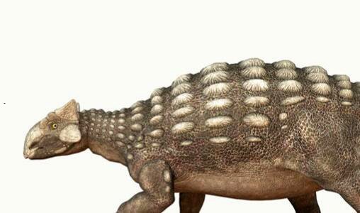 二最值得看的3d电影