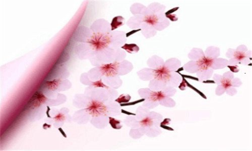 三五年级上册品德与社会内容