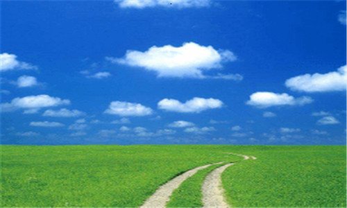 三倩碧黄油有油版