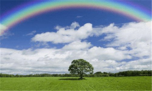三梦幻三维狮驼最强加点