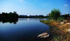 保险柜开锁-大石坝开锁