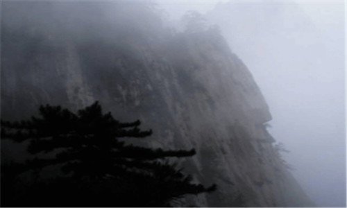 一域名查询软件