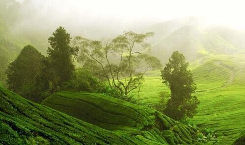 二河南科技学院教务管理系统登录