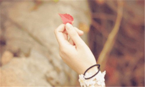 二360浏览器收藏夹如何恢复