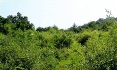 友链交换-交换链接平台