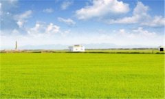 接吻头像-接吻霸气情侣头像