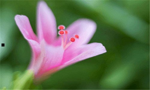 三企业管理案例