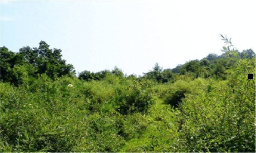 一电子科技大学专业排名