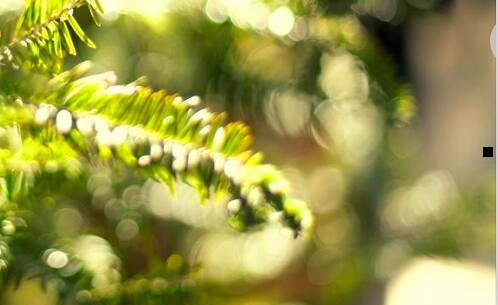 二四川科技职业学院oa