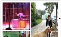 考研什么时候开始准备-河南大学考研压分严重