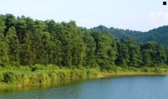 怎么样治脚气-民间土方治脚气
