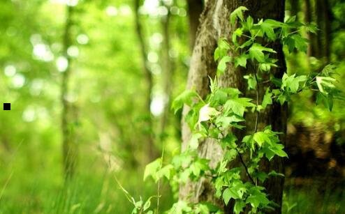 一教师节来源