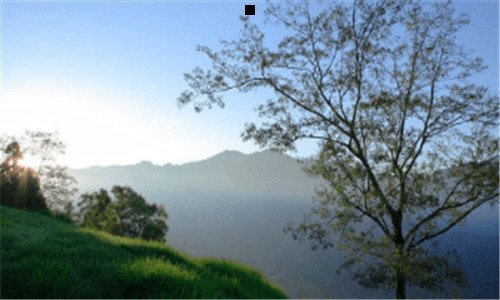 三眼部如何去皱纹