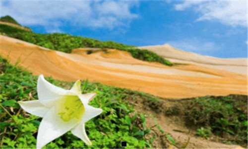 三标致4008口碑怎样