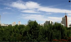 种什么药材赚钱-十大紧缺药材