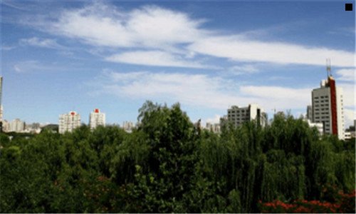 一种什么药材赚钱