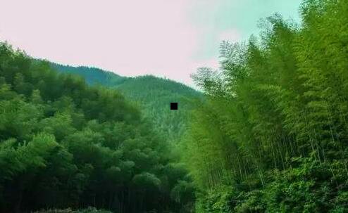 二说一个人愤青啥意思