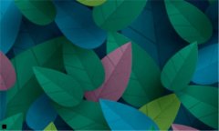 seo综合查询-优化查询
