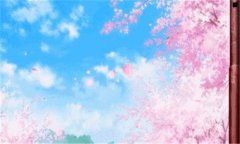 涪陵网站建设-重庆seo