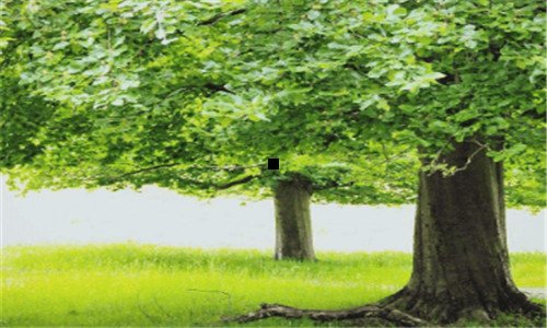 三广西桂平市最新招聘