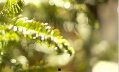 天朗音箱-tannoy天朗音响官网