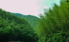 潮汐王座怎么去-部落潮汐王座怎么去