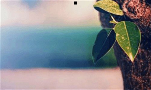 三地下城与勇士疲劳药怎么获得