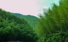 中国国防科技网-国防军工网