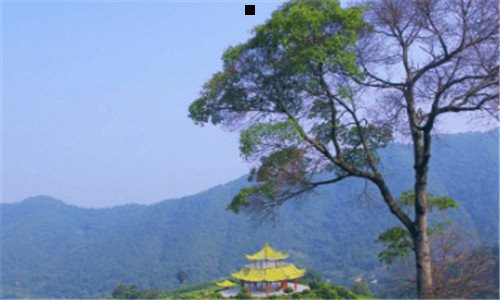 一滴滴优步