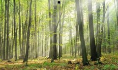 如何快速消除黑眼圈-改善黑眼圈的最好方法