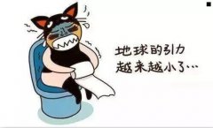 肉蒲团是什么-玉浦分几个