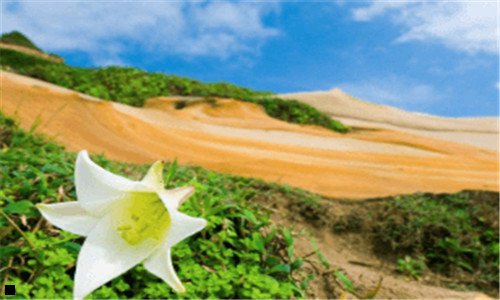 二遇到负面情绪怎么解决