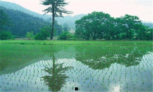 三等高线地形图水库大坝的问题